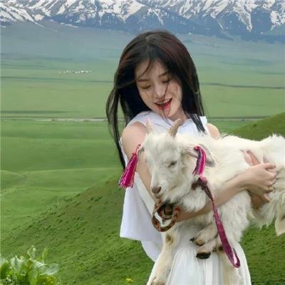 海贼王特别篇：空岛之章